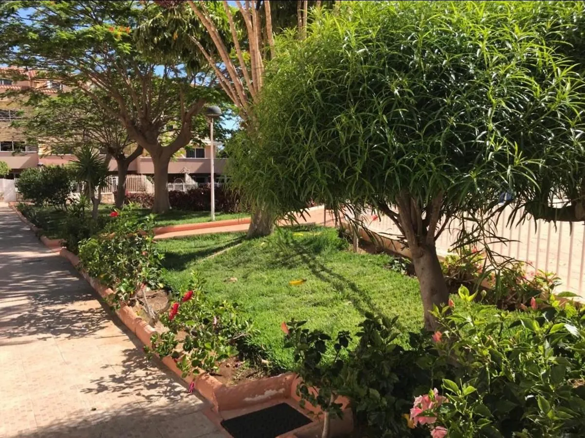 Oasis Del Duque Apartment Costa Adeje  Costa Adeje (Tenerife)